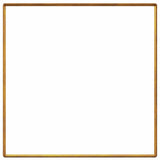 Recinzioni per lumache 20 pcs Ruggine