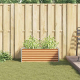Letto rialzato da giardino 98 x 50 x 36 cm Acciaio zincato