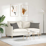 Cuscini da Divano 2 pcs Grigio chiaro 60 x 40 cm