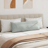 Cuscini da Divano 2 pcs Grigio chiaro 120 x 40 cm