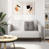 Cuscino per Schiena Talpa 45 x 24 x 50 cm Tessuto