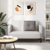 Cuscino per Schiena Talpa 60 x 19 x 50 cm Tessuto