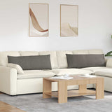 Cuscini da Divano 2 pcs Grigio chiaro 120 x 40 cm