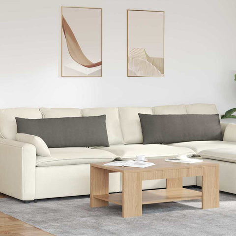 Cuscini da Divano 2 pcs Grigio chiaro 120 x 40 cm