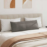 Cuscini da Divano 2 pcs Grigio chiaro 120 x 40 cm