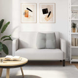 Cuscino per Schiena Grigio Nuvola 60 x 24 x 50 cm Tessuto