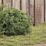 Gabbia per polli 2 pcs Argento 600 x 100 x 210 cm