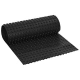 Foglio di drenaggio Nero 0,5 x 10 m HDPE
