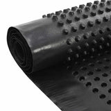 Foglio di drenaggio Nero 1 x 10 m HDPE