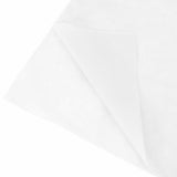 Fleece per Piante di Protezione dal Gelo Bianco 100 x 1,6 m