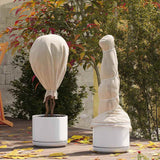 Fleece per Piante di Protezione dal Gelo Beige 20 x 1,6 m