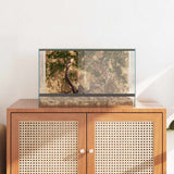 Terrario con archiviazione Trasparente 50 x 30 x 30 cm Vetro