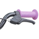 Bicicletta per Bambini 16 Pollici per bambini di 4-6 anni Viola