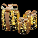 Decorazione Scatola Regalo con 60 LED 3 pcs Bianco caldo PET