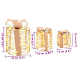 Decorazione Scatola Regalo con 60 LED 3 pcs Bianco caldo PET