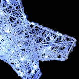 Stella 3D con 50 LED Bianco freddo 55 x 53.5 x 10 cm Acrilico