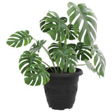 Vaso Rotondo per Fiori 6 pcs Nero  26 x 21.5 cm Plastica