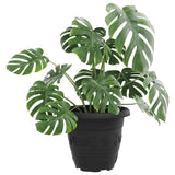 Vaso Rotondo per Fiori 24 pcs Nero  22 x 18 cm Plastica