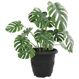 Vaso Rotondo per Fiori 24 pcs Nero  30 x 25 cm Plastica