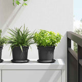 Vassoio Rotondo per Fiori 6 pcs Nero  14 x 2 cm Plastica