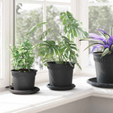 Vassoio Rotondo per Fiori 6 pcs Nero  14 x 2 cm Plastica
