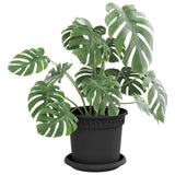 Vassoio Rotondo per Fiori 6 pcs Nero  14 x 2 cm Plastica