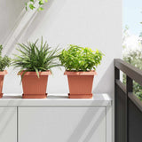 Vassoio Quadrato per Fiori 6 pcs Rosso Mattone 15 x 15 x 2 cm