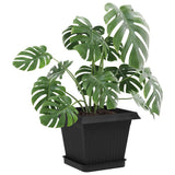 Vassoio Quadrato per Fiori 6 pcs Nero 15 x 15 x 2 cm Plastica