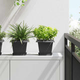 Vassoio Quadrato per Fiori 24 pcs Nero 15 x 15 x 2 cm Plastica