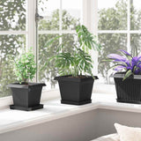Vassoio Quadrato per Fiori 24 pcs Nero 15 x 15 x 2 cm Plastica