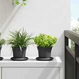 Vasi per Piante 6 pcs Nero  12,5 x 10 cm Plastica