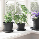 Vasi per Piante 6 pcs Nero  12,5 x 10 cm Plastica