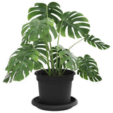 Vasi per Piante 6 pcs Nero  12,5 x 10 cm Plastica