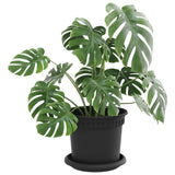 Vasi per Piante 6 pcs Nero  15 x 12 cm Plastica