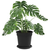 Vasi per Piante 6 pcs Nero  17 x 14 cm Plastica