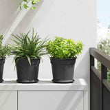Vasi per Piante 6 pcs Nero  19 x 16 cm Plastica
