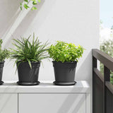 Vasi per Piante 24 pcs Nero  17 x 14 cm Plastica