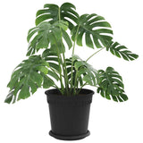 Vasi per Piante 24 pcs Nero  19 x 16 cm Plastica