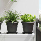 Vasi per Piante 6 pcs Nero  22 x 18 cm Plastica