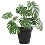 Vasi per Piante 6 pcs Nero  22 x 18 cm Plastica
