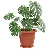 Vasi per Piante 24 pcs Rosso Mattone  26 x 21.5 cm Plastica