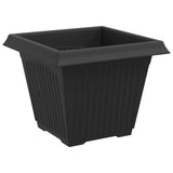 Vasi per Piante 6 pcs Nero 38 x 38 x 30 cm Plastica