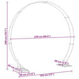 Arco Nuziale Bianco 220 x 45 x 200 cm Acciaio