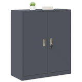 Armadio Antracite 90 x 40 x 105 cm Acciaio