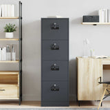 Armadio per File con cassetto 2 pcs Antracite 44 x 50 x 139 cm