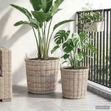 Cestino per piante 2 pz Grigio naturale Rattan Lacak