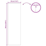 Specchio da parete 30 x 100 cm vetro temperato