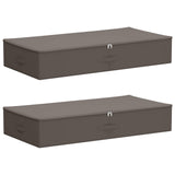 Scatola di Stoccaggio 2 pcs Grigio 100 x 50 x 18 cm