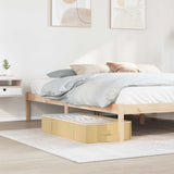 Scatola di stoccaggio con finestra trasparente in alto 2 pcs