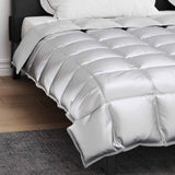 Duvet Invernale Argento 200 x 220 cm Satin e Micropile
